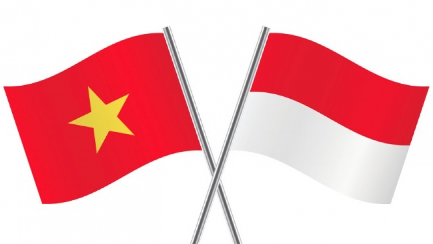 Vietnam, Indonesia bolster defence ties under new comprehensive strategic partnership